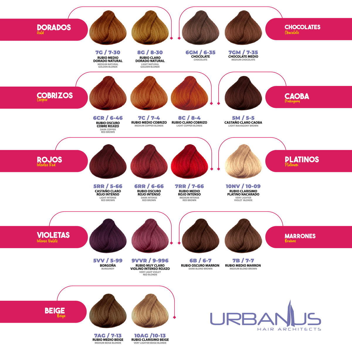 TINTE URBANUS CASTAÑO OSCURO 3-0 – BADI